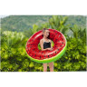 Надувной круг BESTWAY ФРУКТЫ 2 вида 36121 BW